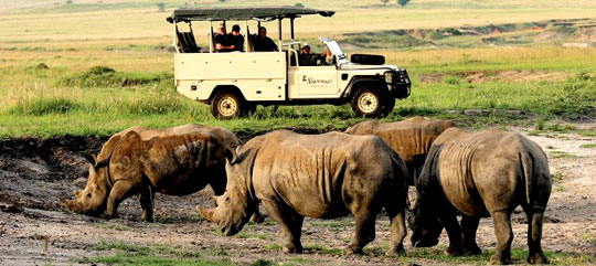 Komati Tented Lodge Nkomazi Game Reserve Mpumalanga South Africa
