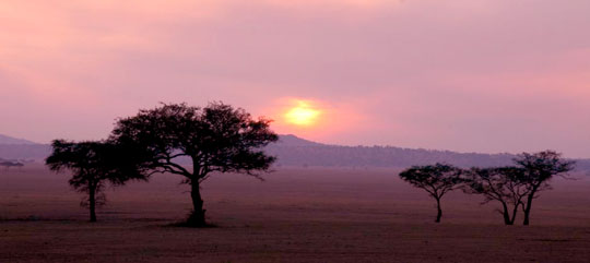 Komati Tented Lodge Nkomazi Game Reserve Mpumalanga South Africa