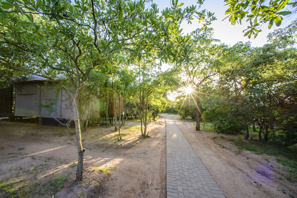 Nkambeni Safari Camp - Kruger National Park Accommodation Bookings